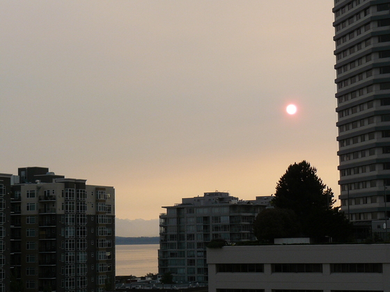 Setting sun w haze.JPG